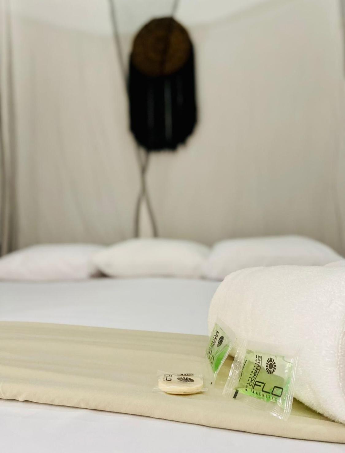 We Playa Hotel بلايا ديل كارمن المظهر الخارجي الصورة