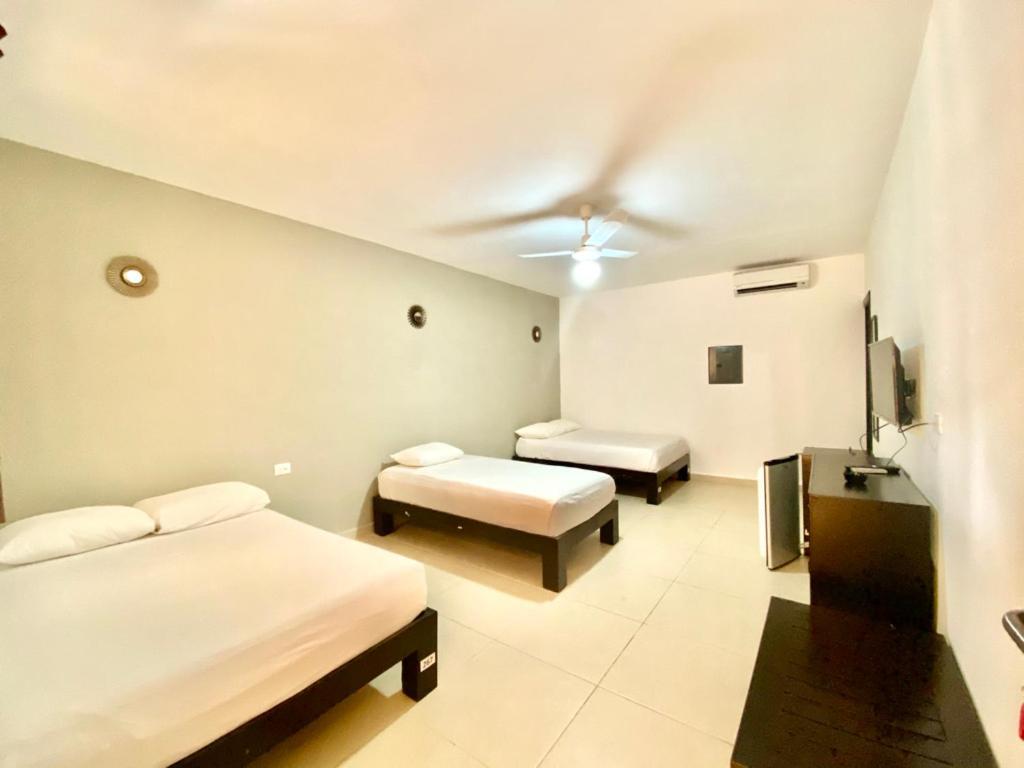We Playa Hotel بلايا ديل كارمن المظهر الخارجي الصورة